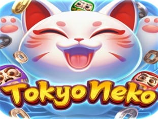 Tokyo Neko icon