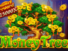 Money Tree icon